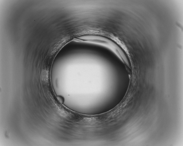 X0000096990057200802221508