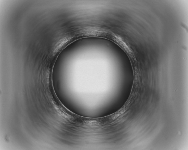 X0000096990058200802221508