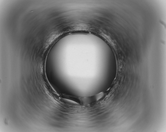 X0000096990060200802221508