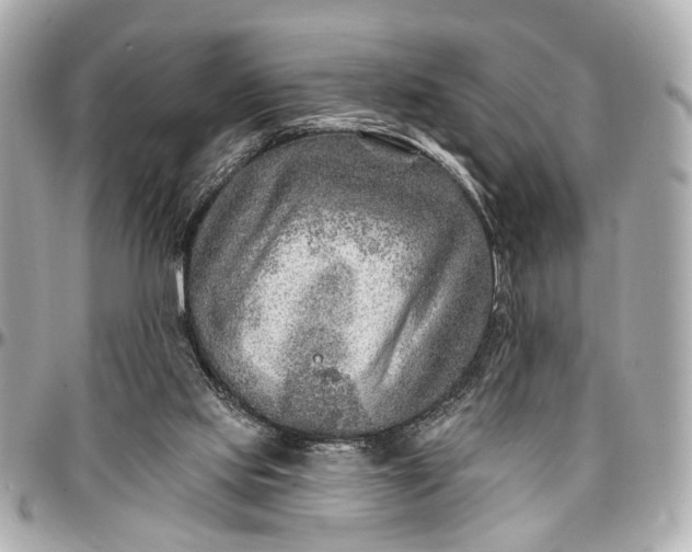 X0000096990061200802221508