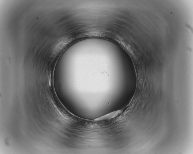 X0000096990062200802221508