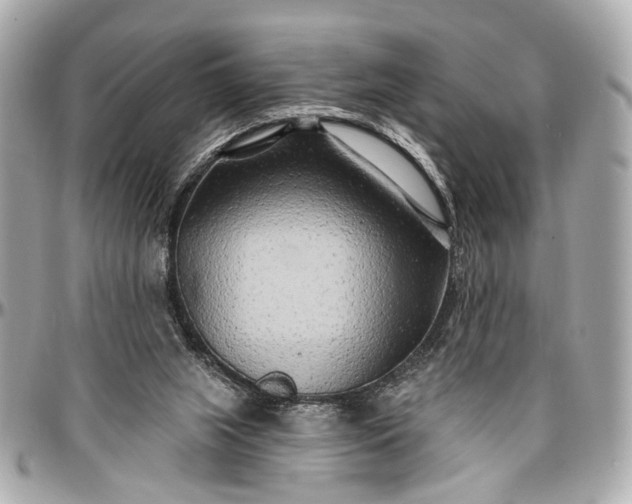 X0000096990063200802221508