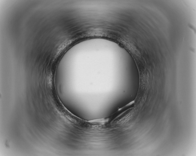 X0000096990064200802221508