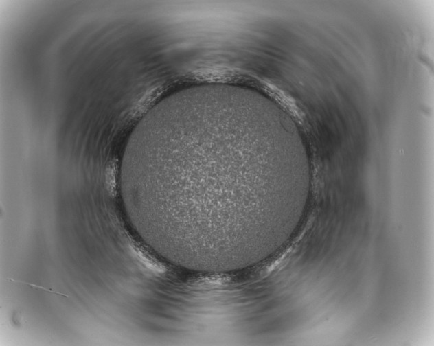 X0000096990065200802221508