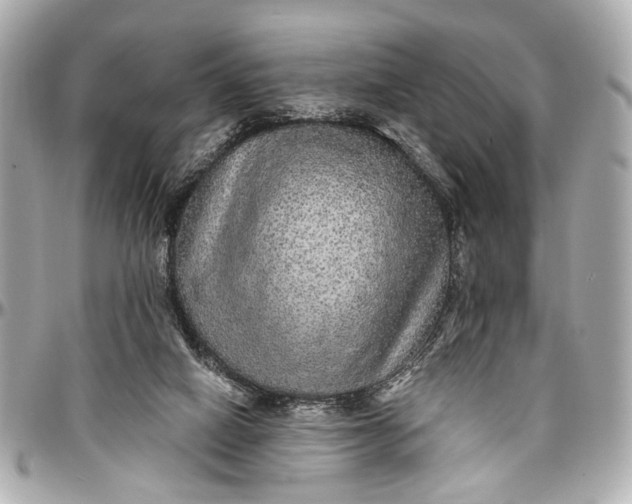 X0000096990066200802221508