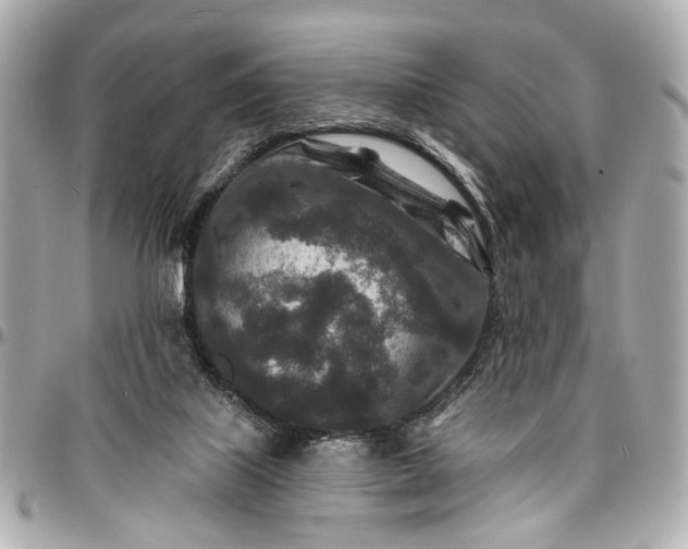 X0000096990067200802221508