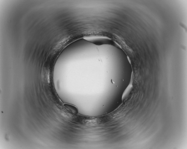 X0000096990068200802221508