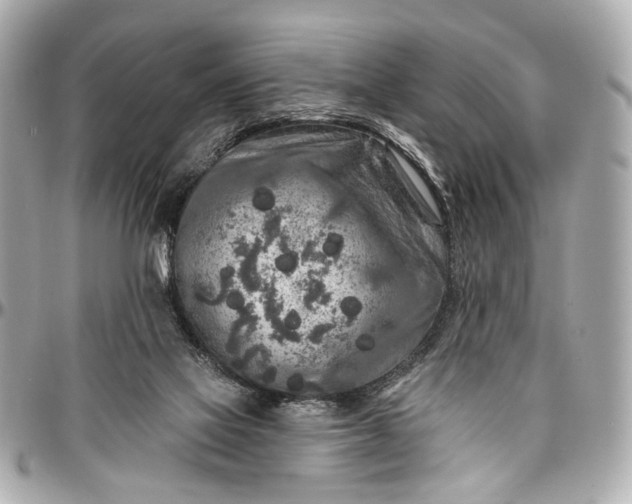 X0000096990069200802221508