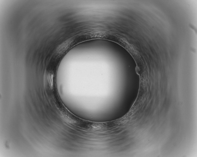 X0000096990070200802221508