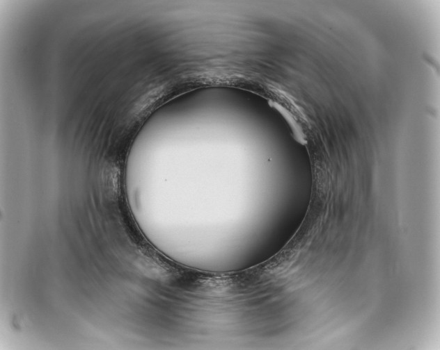 X0000096990071200802221508