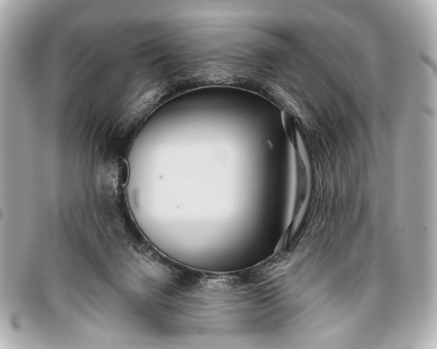 X0000096990072200802221508