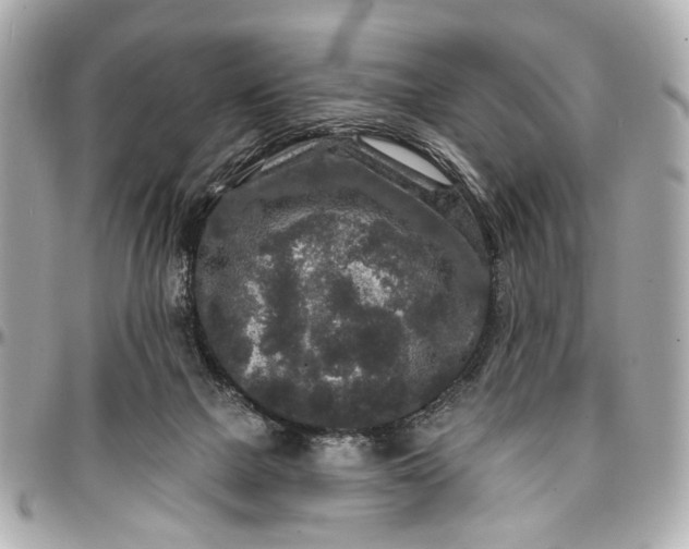 X0000096990073200802221508