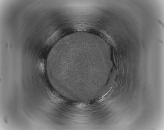 X0000096990074200802221508