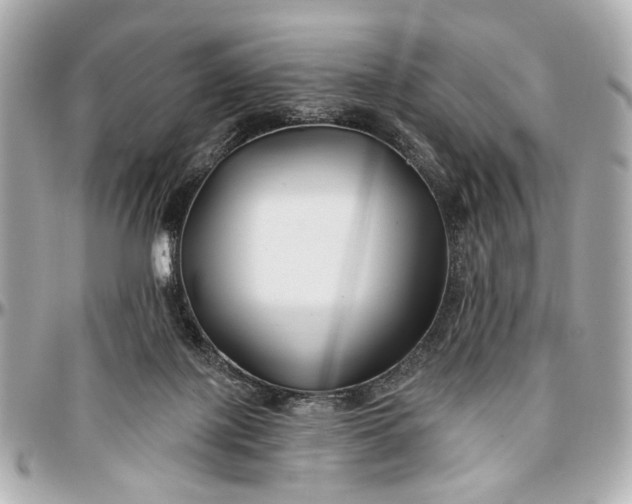 X0000096990075200802221508