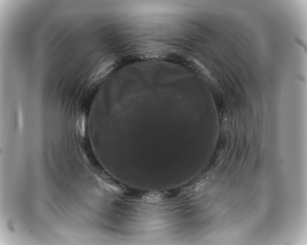 X0000096990076200802221508