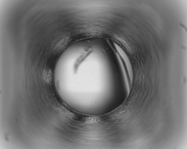 X0000096990077200802221508