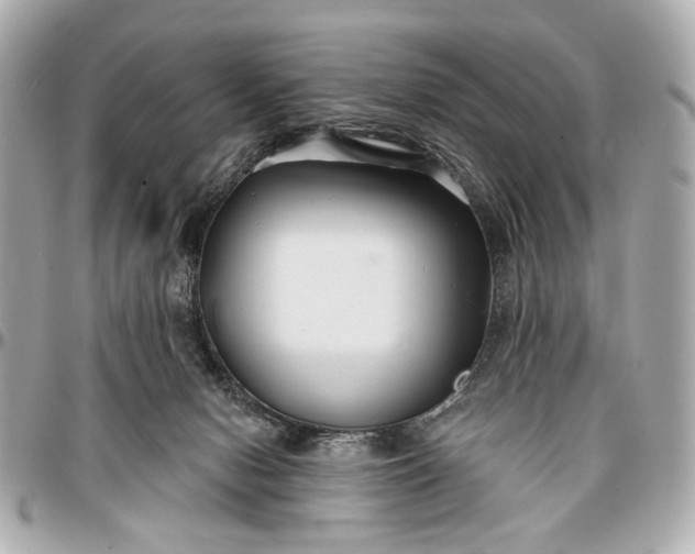 X0000096990078200802221508