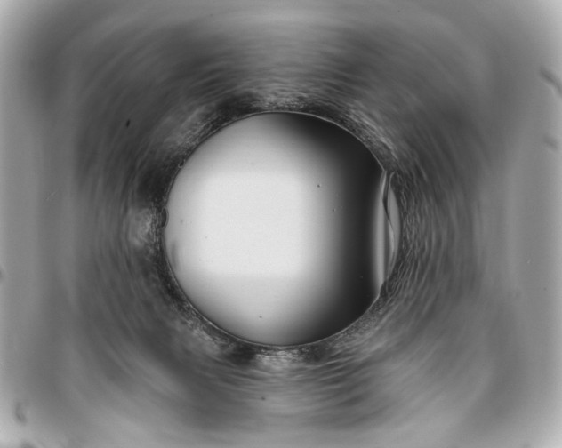 X0000096990079200802221508