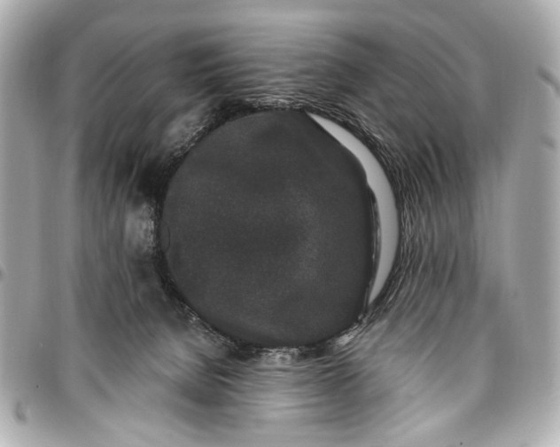 X0000096990080200802221508