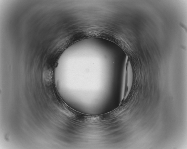 X0000096990081200802221508