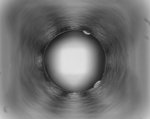 X0000096990082200802221508