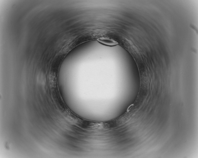 X0000096990083200802221508