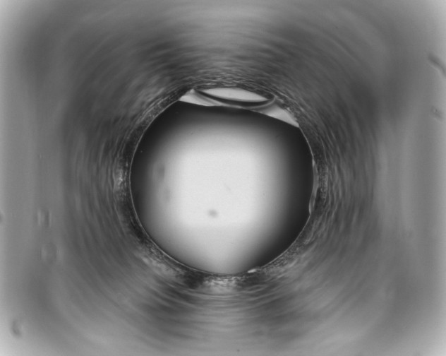 X0000096990084200802221508