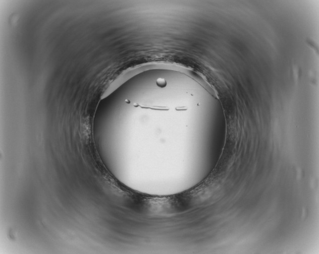 X0000096990085200802221508