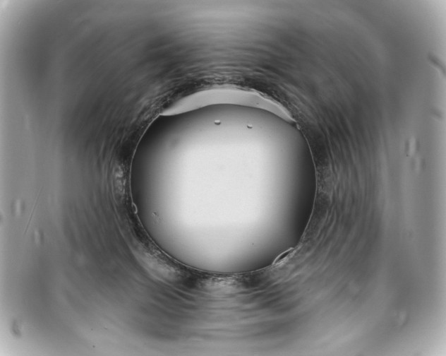 X0000096990086200802221508