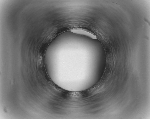 X0000096990087200802221508