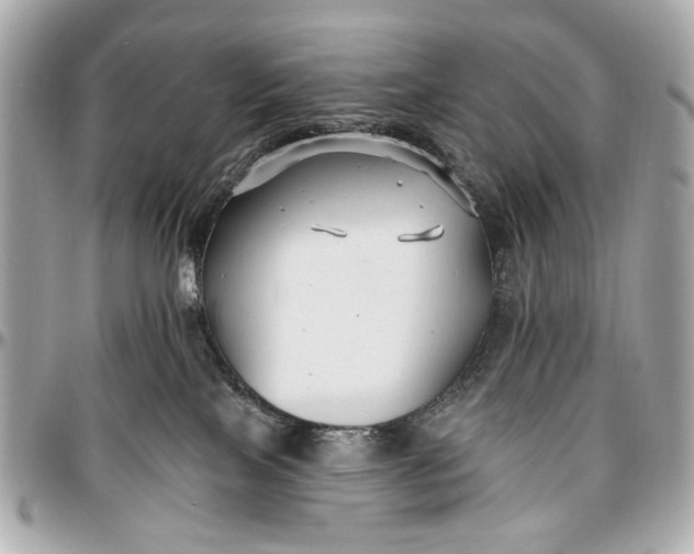 X0000096990089200802221508