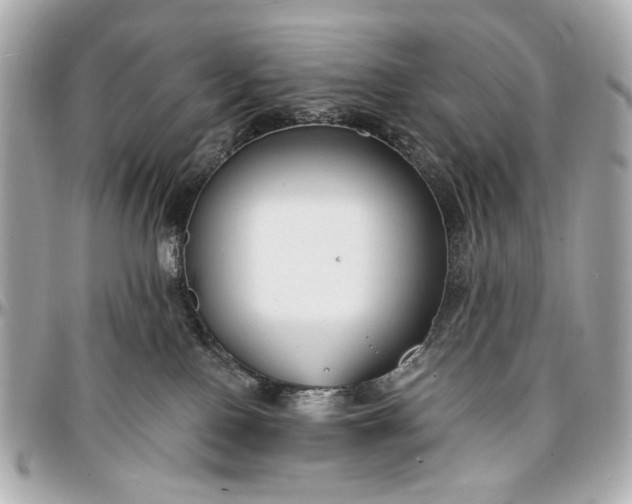 X0000096990090200802221508