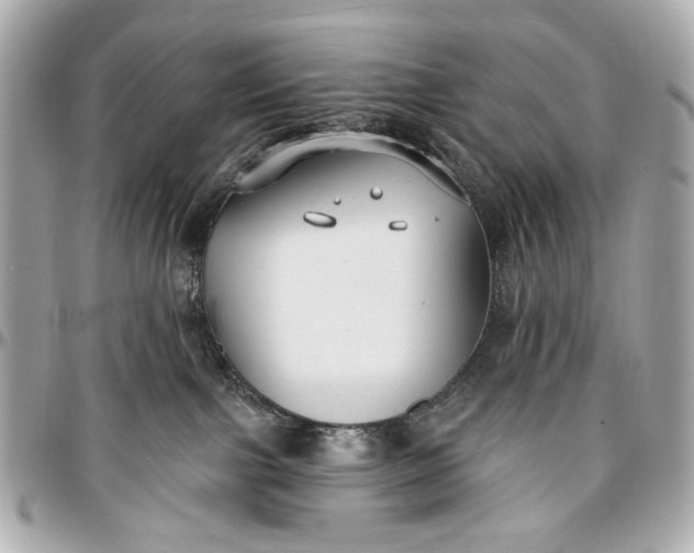 X0000096990091200802221508