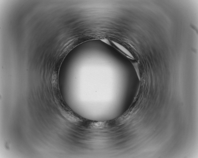 X0000096990092200802221508