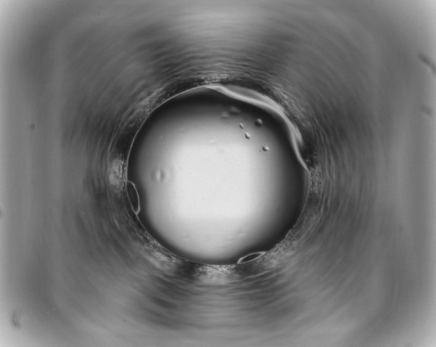 X0000096990093200802221508