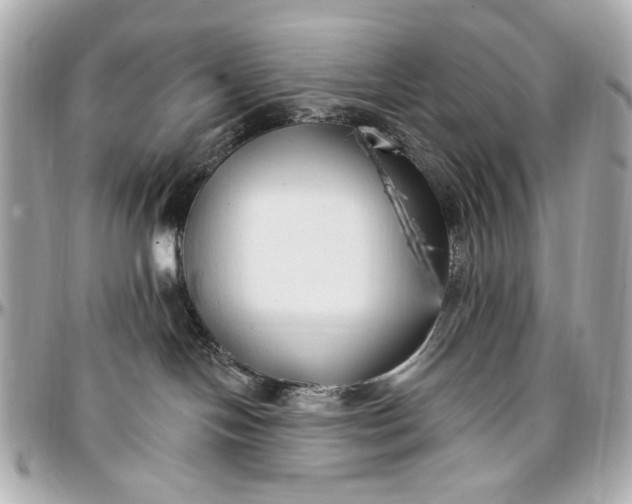 X0000096990094200802221508