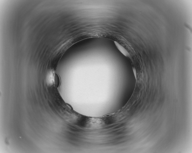 X0000096990095200802221508