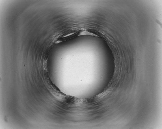 X0000096990096200802221508