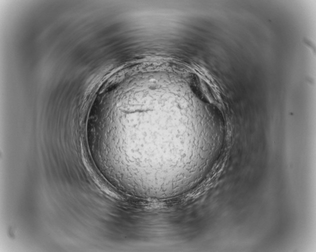 X0000096990097200802221508