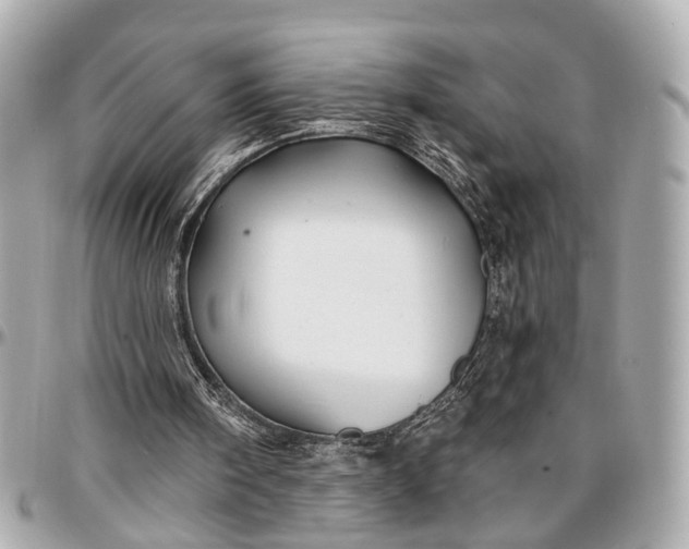 X0000096990098200802221508