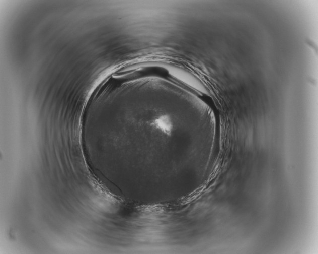 X0000096990100200802221507