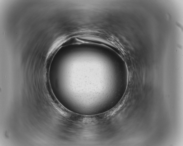 X0000096990101200802221507