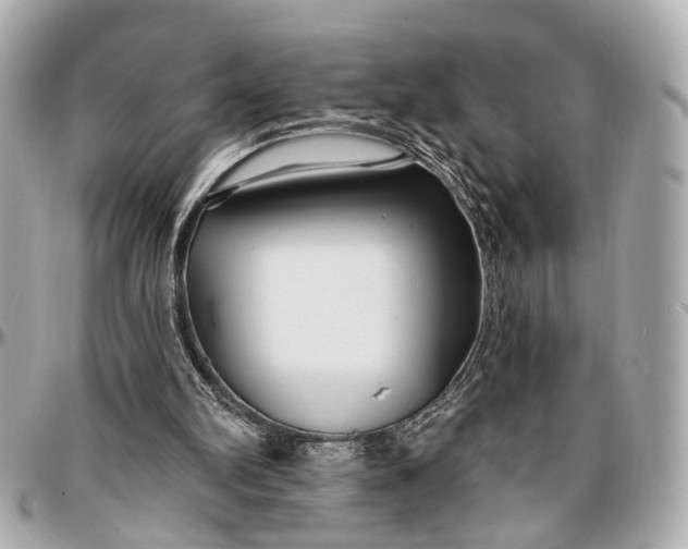 X0000096990102200802221507