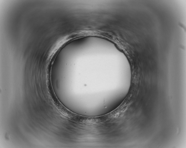 X0000096990103200802221507