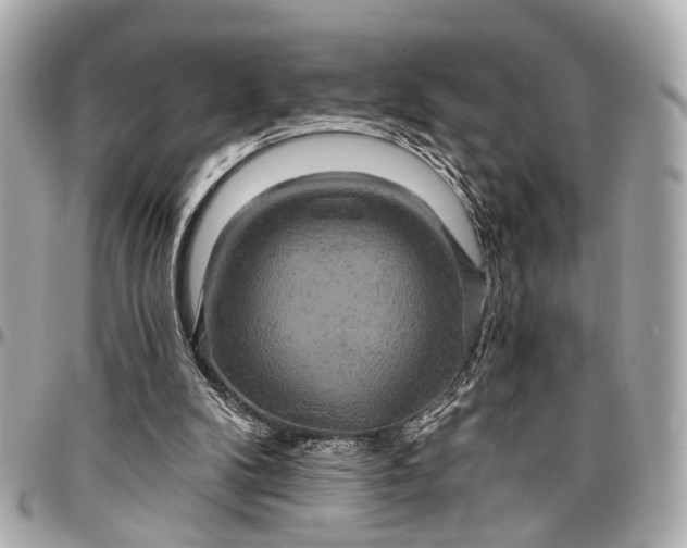 X0000096990104200802221507