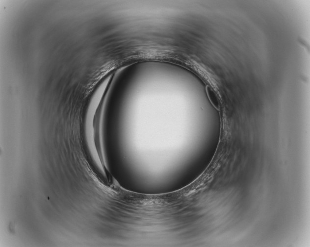 X0000096990105200802221507