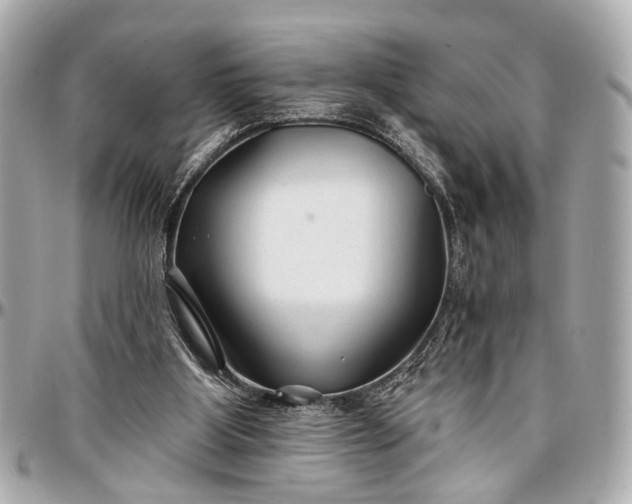 X0000096990107200802221507