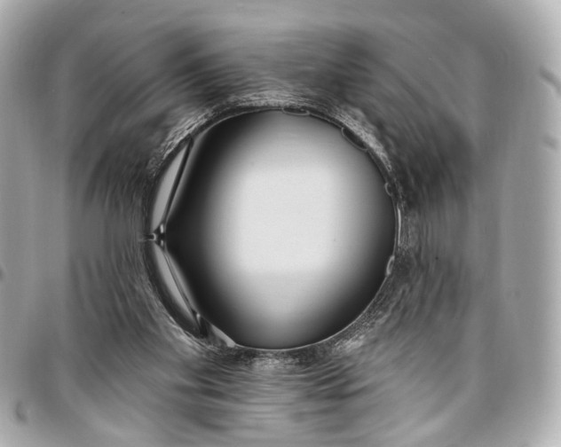 X0000096990109200802221507