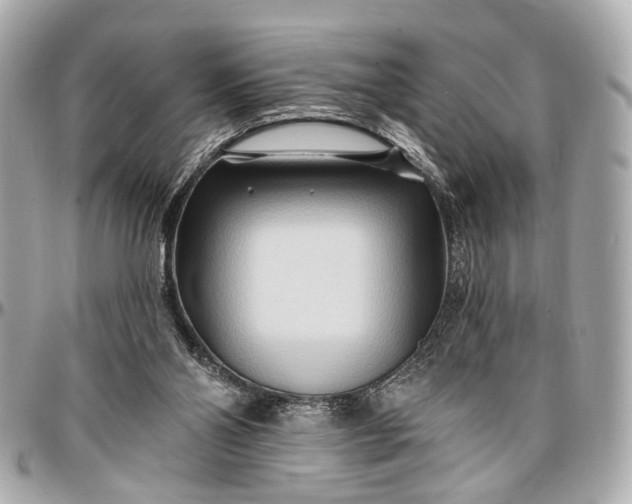 X0000096990110200802221507