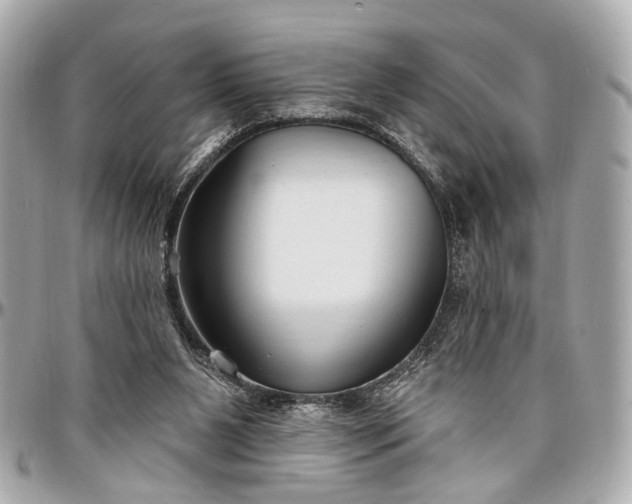 X0000096990111200802221507